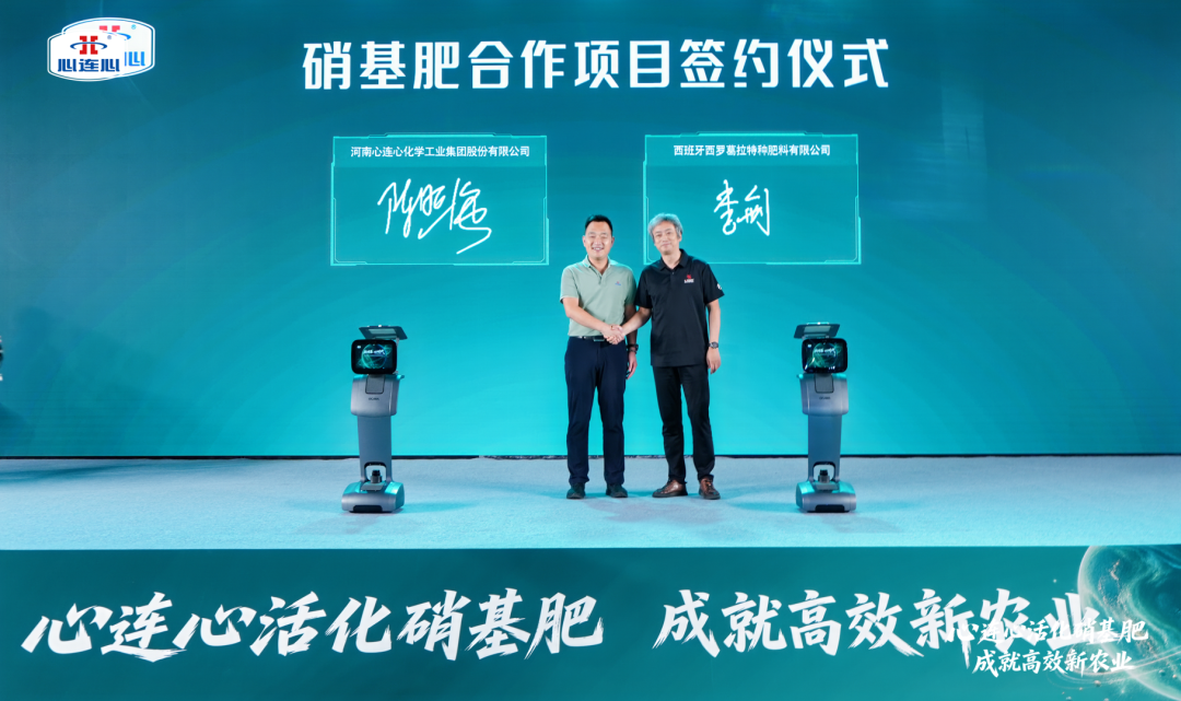 广州会议策划公司｜300人行业会议暨新品发布会案例复盘